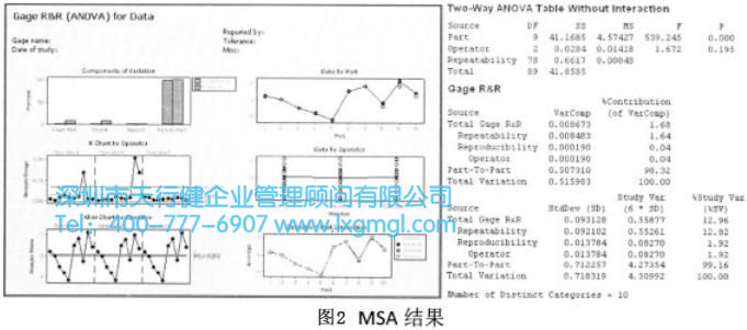 MSA結果 MSA結果